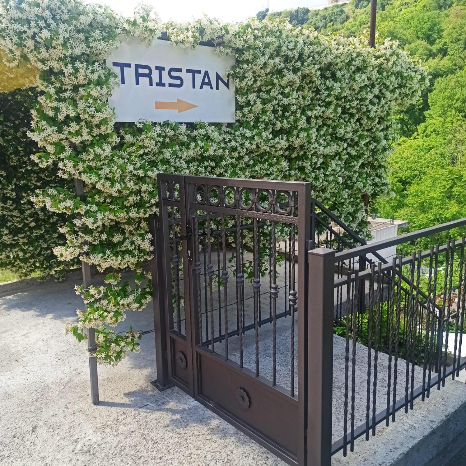 Apartman Tristan Herceg Novi Exteriör bild